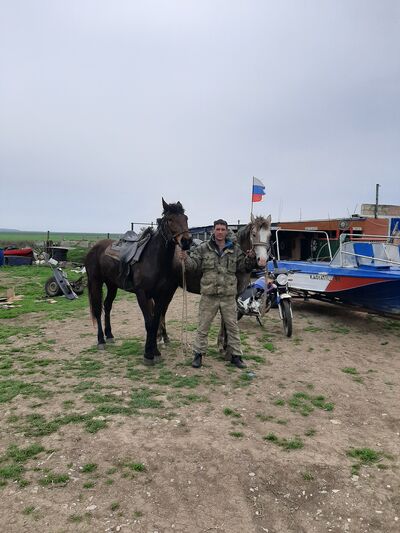  ,   Vasily, 37 ,   ,   , c 