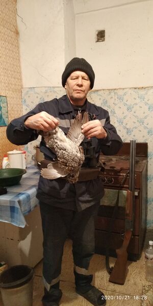  ,   , 66 ,   ,   