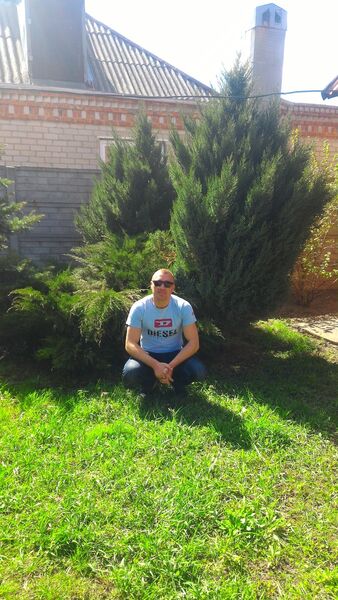  ,   Vlad, 42 ,   ,   , c 