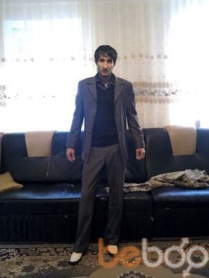  ,   Pava, 38 ,   