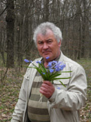  ,   , 65 ,   