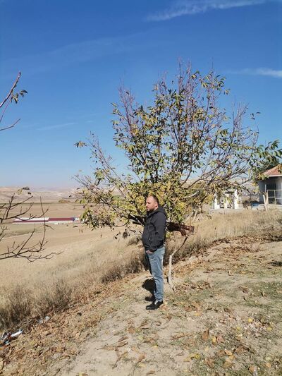  ,   Yunus, 33 ,   ,   