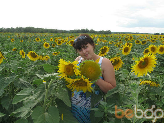 ���������� �������, ���� ������� �����, 36 ���, ������������ ��� ������