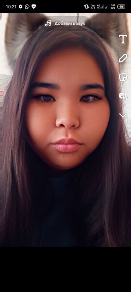  -,   , 24 ,   ,   