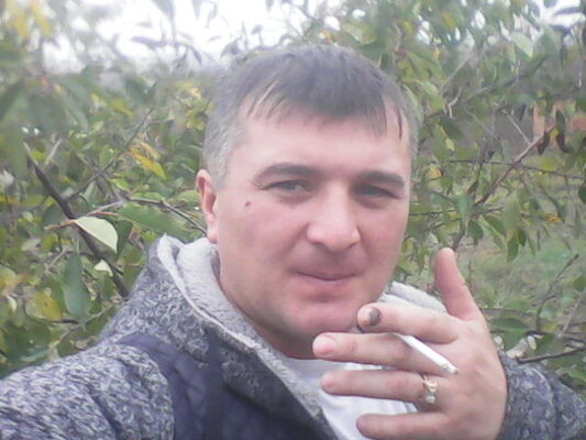  ,   , 43 ,  