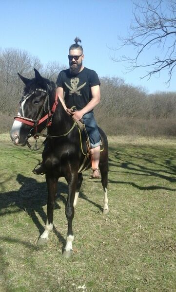  ,   Viktor, 40 ,   ,   , c 
