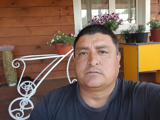  -,   , 43 ,   ,   