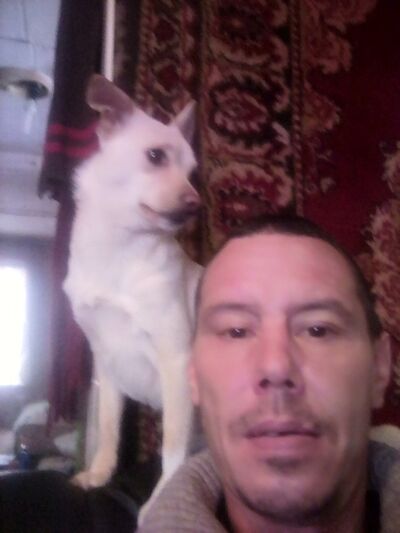  ,   , 47 ,   
