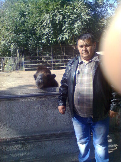  ,   , 46 ,   ,   , c 