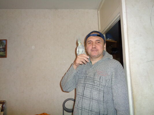  ,   , 52 ,   ,   , c 