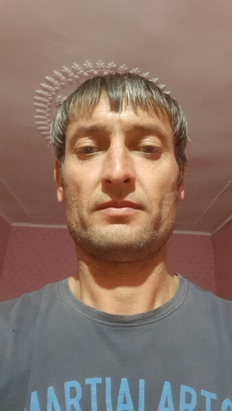  ,   Saib, 44 ,   ,   , c 