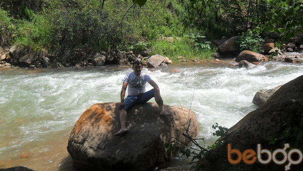  ,   Tima, 41 ,     , c 
