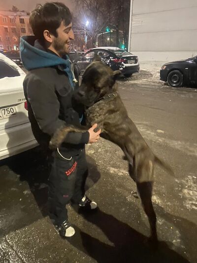  ,   Alex, 28 ,   ,   