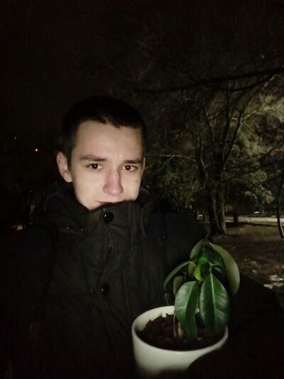  -,   , 24 ,   ,   