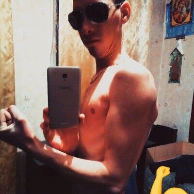  8356693  , 28 ,    