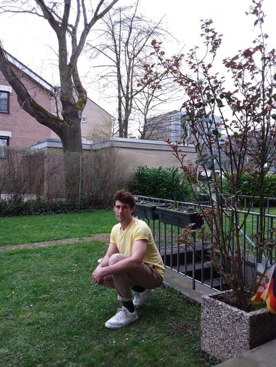  Aalst,   , 46 ,   ,   , c 
