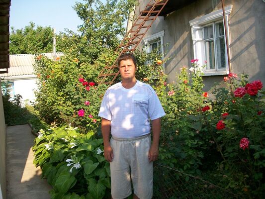  ,   , 51 ,     , c 