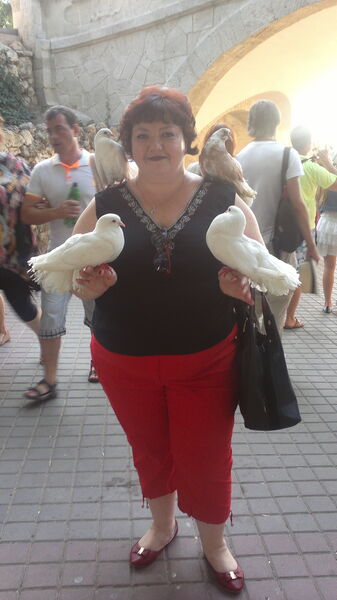  ,   , 56 ,   c 