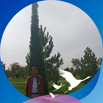  ,   , 67 ,   ,   , c 