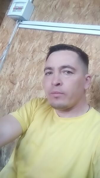  ,   Shamil, 40 ,   ,   , c 