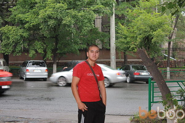  ,   Sweetdonkey, 38 ,   ,   , c 