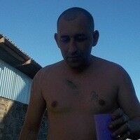  --,   , 43 ,   