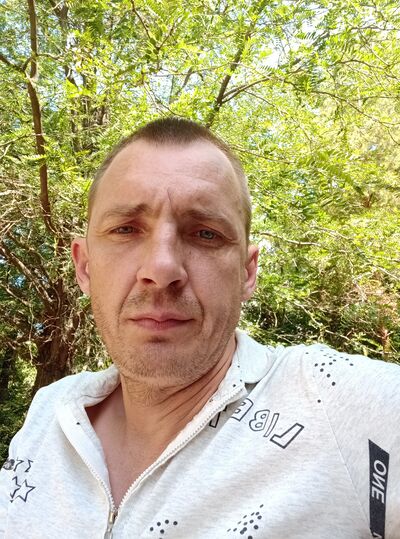  --,   , 41 ,   ,   