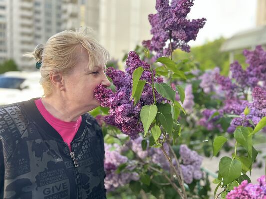  ,   , 65 ,   ,   