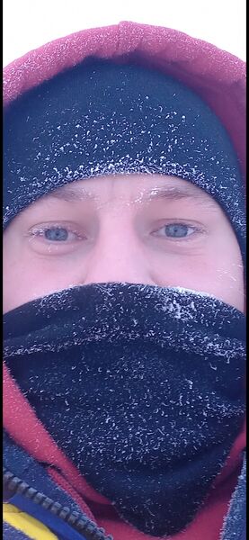  ,   Alexander, 33 ,   ,   