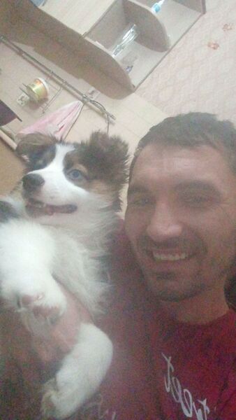  ,   , 29 ,     , c 