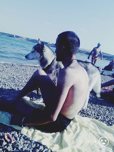  ,   Gogola, 36 ,   ,   , c 