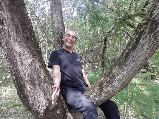  ,   Medved, 59 ,   ,   , c 