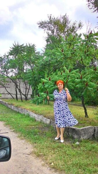  ,   , 71 ,   ,   