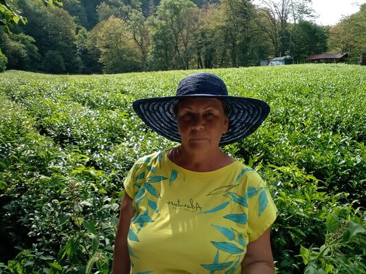  ,   , 62 ,   ,   , c 