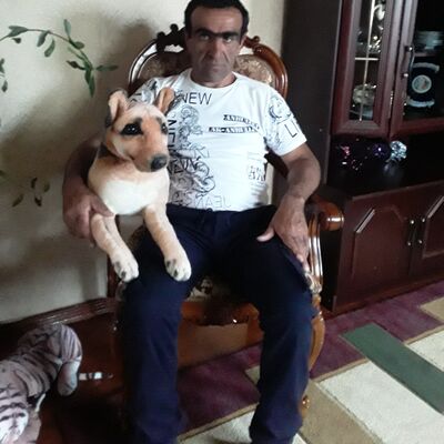  ,   , 43 ,   ,   