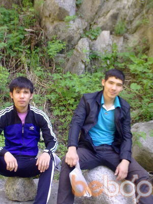  ,   87784266641, 33 ,   