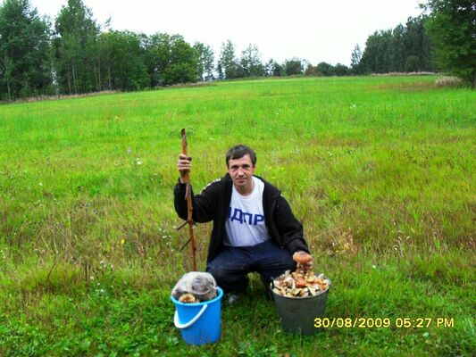  -,   , 61 ,   ,   , c , 