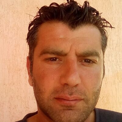  ,   Lion, 44 ,   