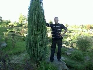  ,   , 37 ,     , c 