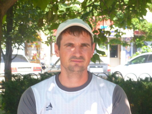  ,   , 44 ,  