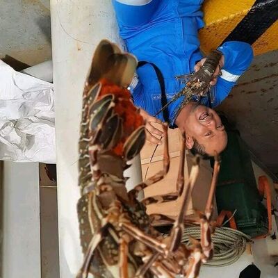  New York City,   YuanjunHarri, 60 ,     , c 