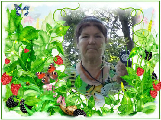  ,   , 70 ,   ,   , c 