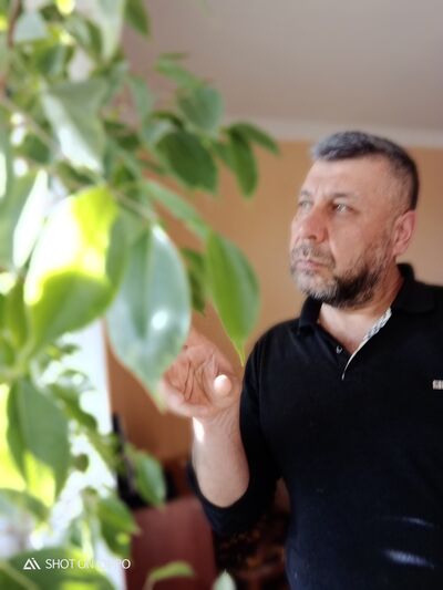  ,   SARVAR, 51 ,   ,   , c , 