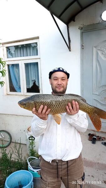  ,   Bahodir, 44 ,   ,   , c 