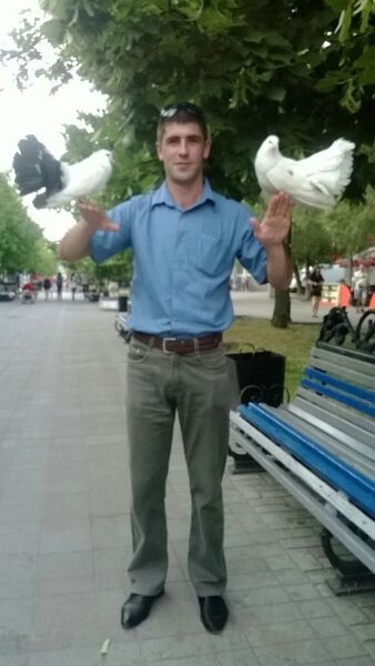  ,   , 38 ,   ,   , c 