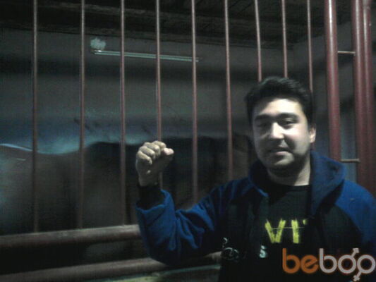  ,   Behruz, 40 ,     , c 