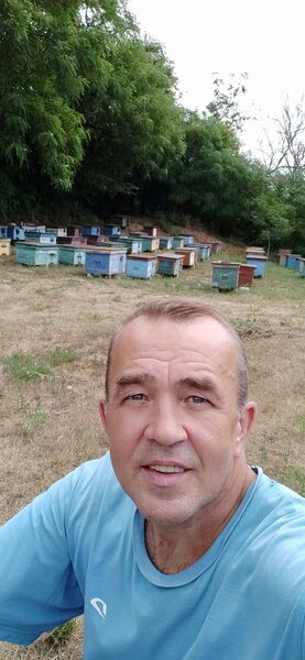  ,   , 55 ,   ,   , 