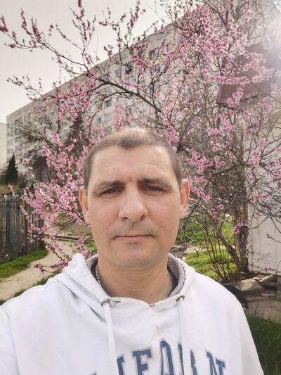  ,   , 46 ,     , c , 