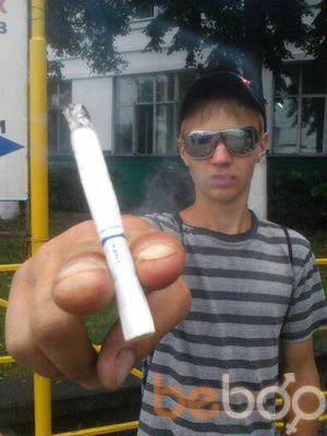  ,   Ytis, 31 ,   