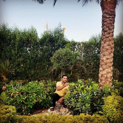  ,   Hamada, 44 ,   ,   , c 